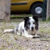 img_0009-13.jpg - 