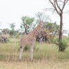 img_2329.jpg - 
