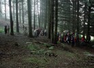 4994-20.jpg - 