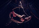 br-4422-35.jpg - 