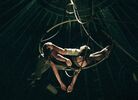 br-4422-36.jpg - 