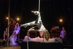 014_p0137684.jpg - 