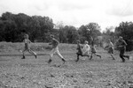5736-37.jpg - 