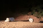 br-IMG_8086.jpg - 