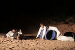 br-IMG_8088.jpg - 