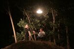 br-IMG_8099.jpg - 