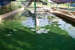 img_0042-9.jpg - 
