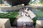 img_0047-10.jpg - 