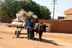 img_1568.jpg - 