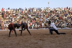 img_1690.jpg - 