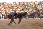img_1713-1.jpg - 