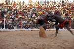 img_1747.jpg - 