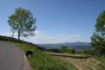 img_2208.jpg - 