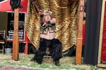img_6616.jpg - 