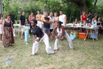 img_7397-1.jpg - 