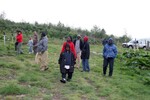 img_7575.jpg - 