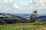 img_7604.jpg - 