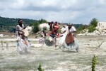 img_7802.jpg - 
