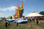 img_8067.jpg - 