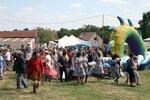 img_8071.jpg - 