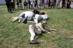 img_8074-1.jpg - 