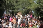 img_8091.jpg - 