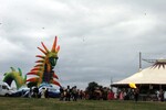 img_8293.jpg - 