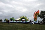img_8295-1.jpg - 