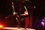 img_9337-1.jpg - 