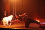 img_9340-1.jpg - 