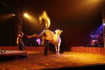 img_9349-2.jpg - 