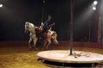 img_9360-3.jpg - 