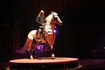 img_9378-2.jpg - 