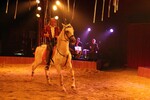 img_9414.jpg - 