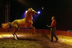 img_9425-1.jpg - 