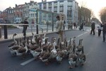 l1083942.jpg - 