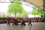 m1006982.jpg - 