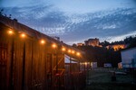 p0003637-1.jpg - 