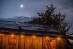 p0004306-1.jpg - 