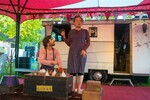 p0042213-1.jpg - 