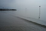 p0111210.jpg - 