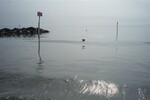 p0111211.jpg - 