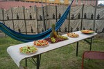 p0111739-1.jpg - 