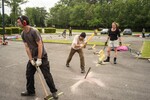 p0156569.jpg - 