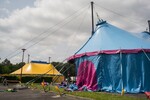p0156582.jpg - 