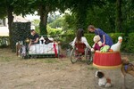 p0157919-1.jpg - 