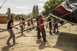 p0176360.jpg - 
