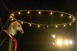 p0180431.jpg - 