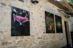p0182758.jpg - 
