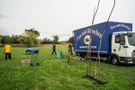 p0183919-1.jpg - 